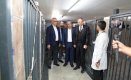 Dilovası’nda hayvanları koruma gününde farkındalık