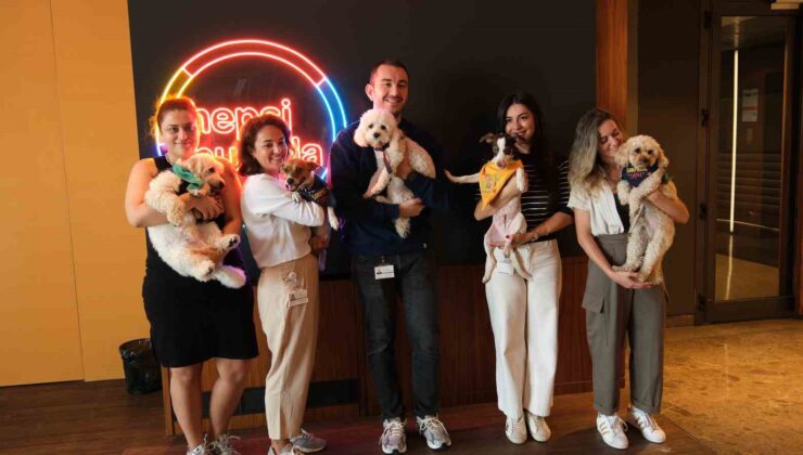 Hepsiburada’dan 4 Ekim Hayvanları Koruma Günü’nde dayanışma çağrısı