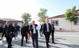 İnegöl’de sokak hayvanları için yeni adım