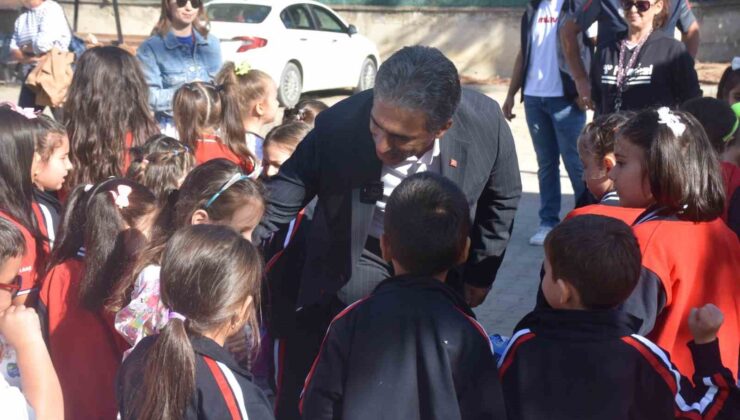 Patili canlar Gemlik Belediyesi’nin koruma altında
