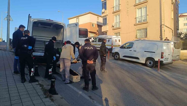 Pendik’te korkunç olay: Kuzenini defalarca kez bıçaklayarak öldürdü