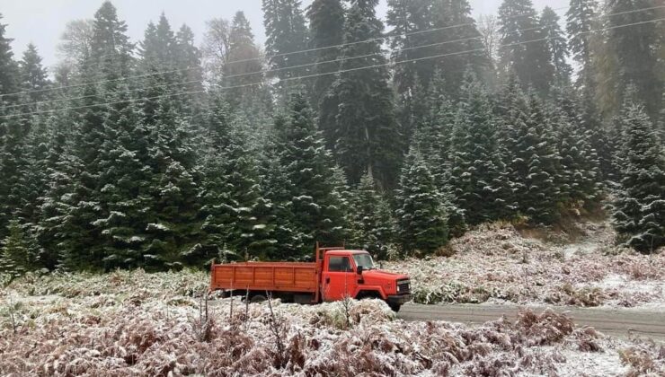 Sakarya’nın yüksek kesimleri kısmen beyaza büründü