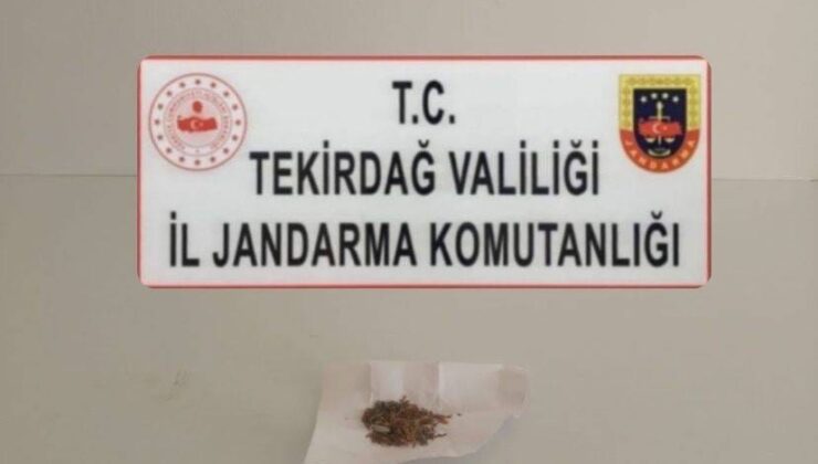 Tekirdağ’da uyuşturucu ve kaçakçılık operasyonları: Sentetik hap ve silah ele geçirildi