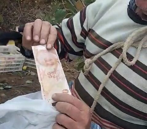 Bahçeden hurma toplayıp parasını poşet içinde ağaca astı
