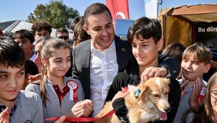 Balıkesir sokaktaki canlara sahip çıkıyor, sahipsiz bırakmıyor