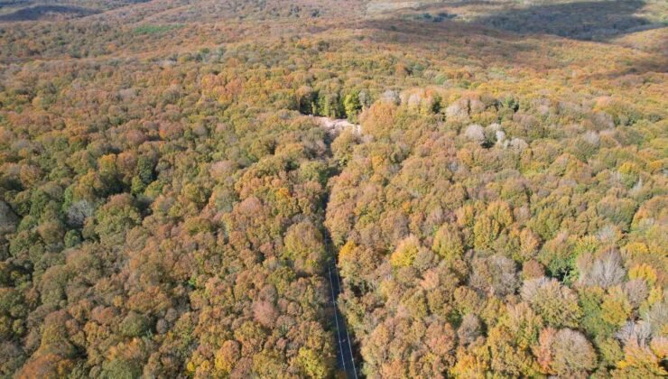 Belgrad Ormanı sonbahar renklerine büründü