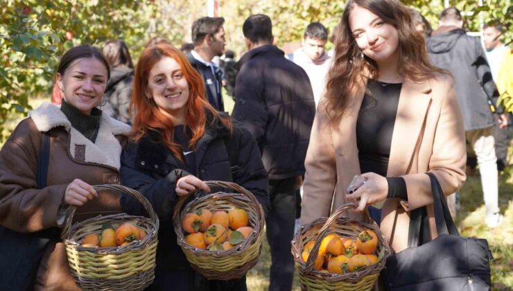 Bilecik’te 6 yıl önce deneme amaçlı dikilen hurma fideleri ilk meyvelerini verdi