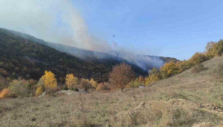 Bilecik’te orman yangınını söndürme çalışması sürüyor