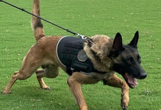 İstanbul’da ele geçirilen tonlarca uyuşturucuyla ilgili çarpıcı detaylara ulaşıldı