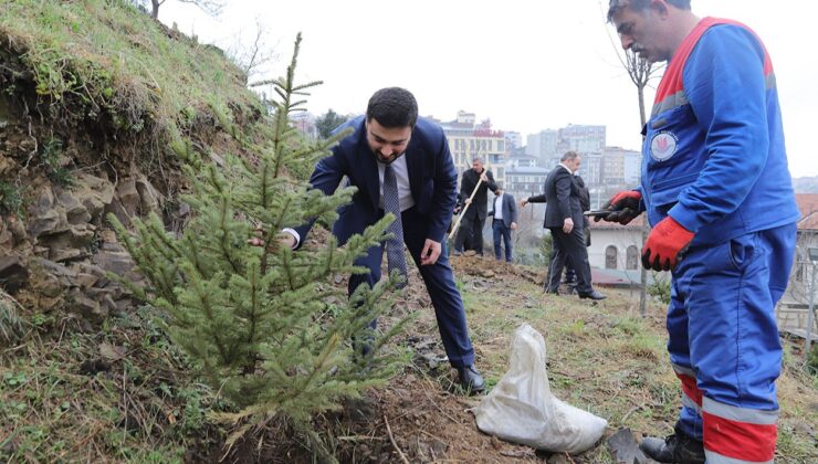 Kağıthane’de yeşil gelecek: Her bebek bir ağaçla büyüyor