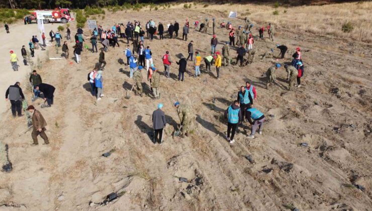 Kazdağları’nda Mili Ağaçlandırma Günü’nde fidanlar toprak ile buluştu