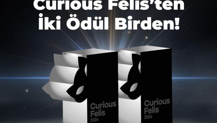 Kiğılı’ya, Curious Felis 2024’ten iki gümüş ödül