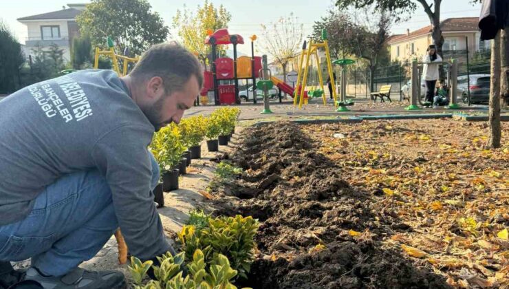 Serdivan’ın yeşil alanları güzelleşiyor