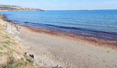 Tekirdağ’da kıyı kızıla boyandı