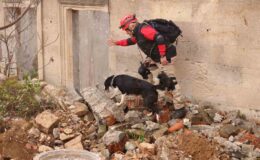 Uluslararası ’Arama Kurtarma Köpekleri Şampiyonası’ Çekmeköy’de yapıldı