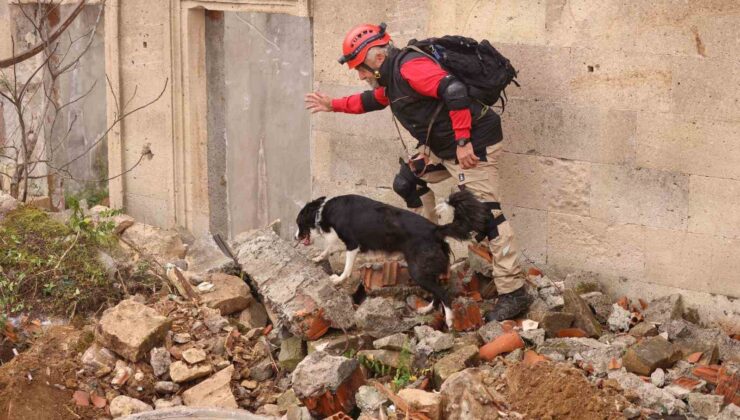 Uluslararası ’Arama Kurtarma Köpekleri Şampiyonası’ Çekmeköy’de yapıldı