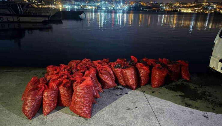 Üsküdar’da 2 ton kaçak midye ele geçirildi