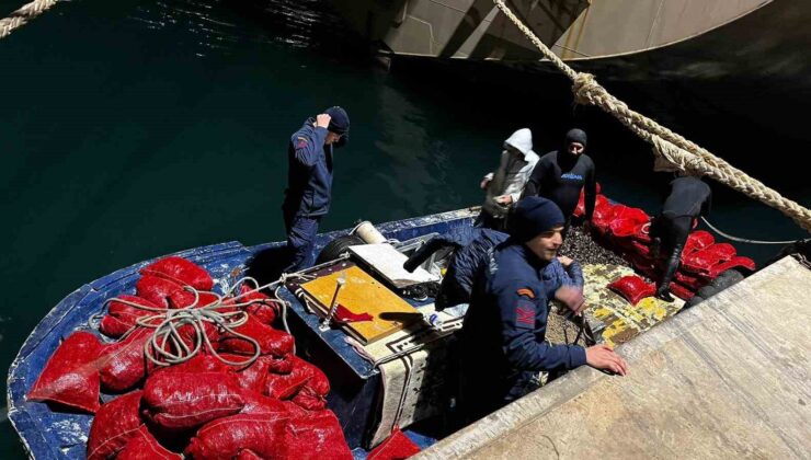 Yalova’da 20 ton kaçak midye ele geçirildi