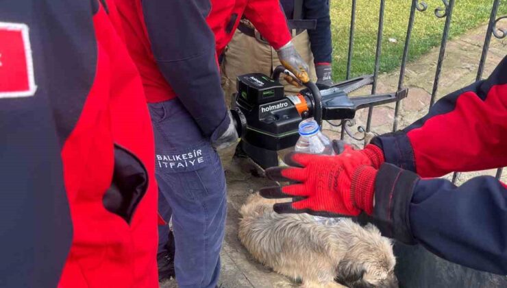 Balıkesir’de bahçe kapısına sıkışan köpek kurtarıldı