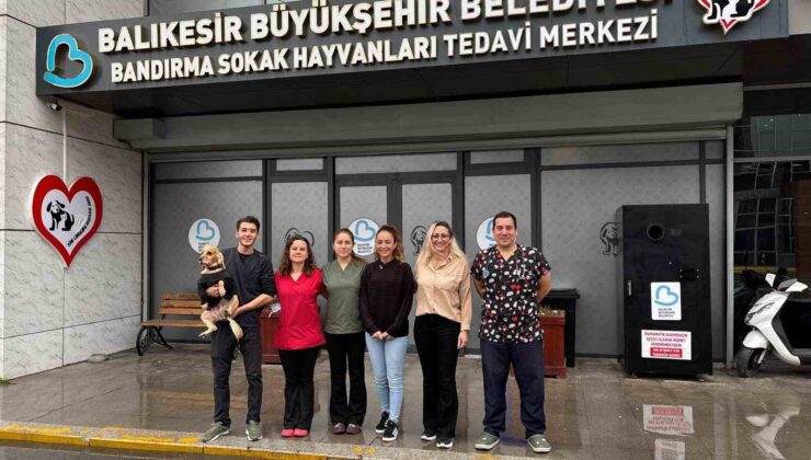 Bandırma Sokak Hayvanları Tedavi Merkezi 13 bin 459 hayvana şifa dağıttı