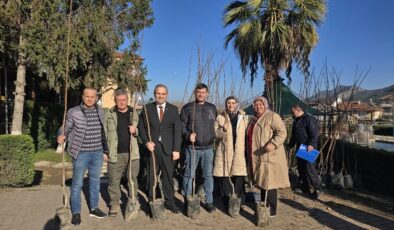 Belediye ücretsiz Trabzon Cennet Hurması fidanı dağıttı