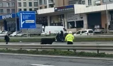 Büyükçekmece’de E-5’e giren dana trafiği kilitledi