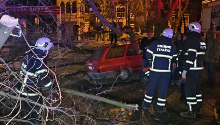 Çürüyen ağaç otomobilin üzerine devrildi