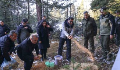 Doğada aç kalan yaban hayvanları için yem bıraktılar