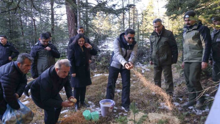 Doğada aç kalan yaban hayvanları için yem bıraktılar