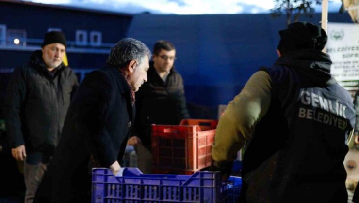 Gemlik Belediyesi’den, zeytin üreticisine 3 milyon liralık destek