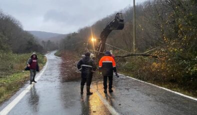 Kırklareli’nde rüzgardan kopan elektrik telleri yangına neden oldu