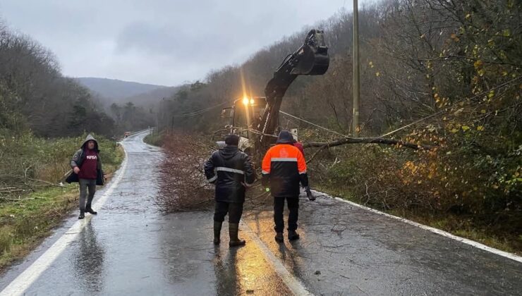 Kırklareli’nde rüzgardan kopan elektrik telleri yangına neden oldu