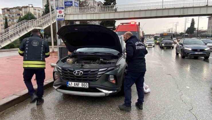 Motora saklanan kedi 13 kilometre yol gitti