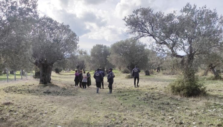 “Yeşil altın” bekçileri hırsızlara geçit vermiyor