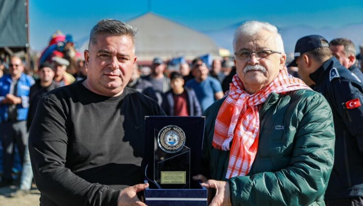 Balıkesir’de deve güreşi heyecanı yaşandı