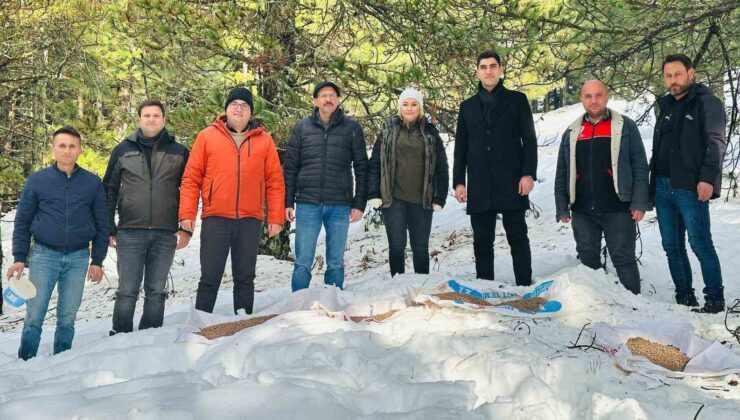 Balıkesir’de yaban hayvanları unutulmadı