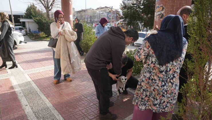 Bursa’da 4 büyüklüğünde deprem