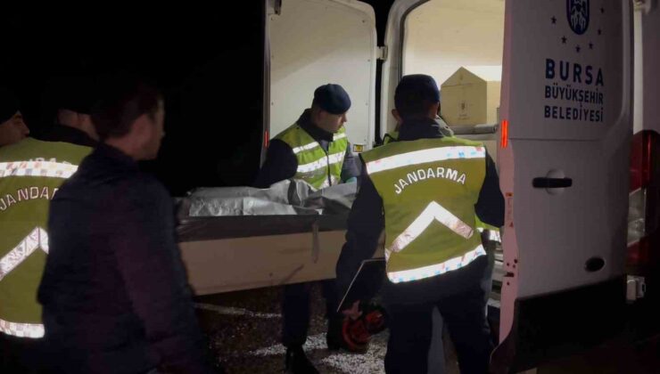 Bursa’da aranan 18 yaşındaki gencin cesedi ormanda yanmış halde bulundu