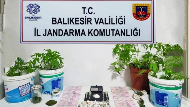 Jandarma’dan 6 ilçede uyuşturucu operasyonu