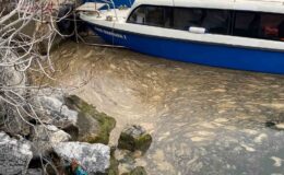 Kadıköy’de deniz yüzeyinde müsilaj tehdidi