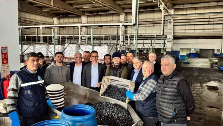 Kaymakam Karaman İznik Zeytin Kooperatifi’ni ziyaret etti