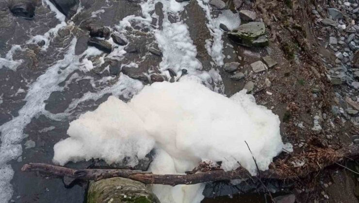 Ketenlik Deresi zehirle kaplandı: Vatandaşlar tepkili