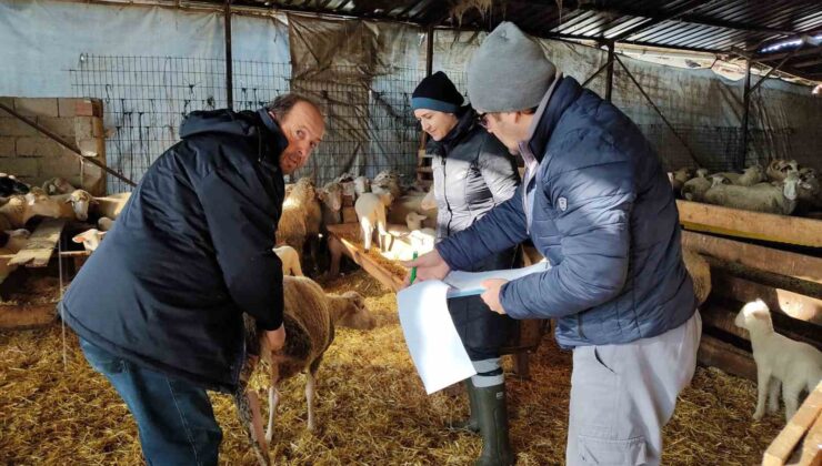 Kırklareli’de küçük ve büyükbaş hayvanların kontrolleri yapıldı