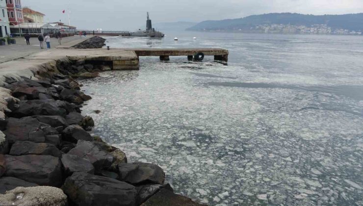 Müsilaj Çanakkale Boğazı’nı kaplamaya başladı