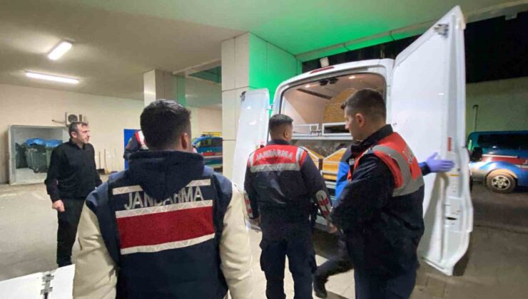 Ormanlık alanda korkunç cinayet, dili ve kulakları kesildi