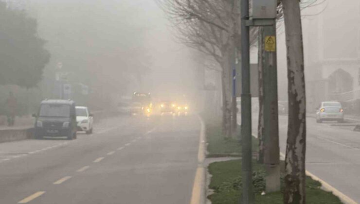Sakarya’da sis etkili oluyor