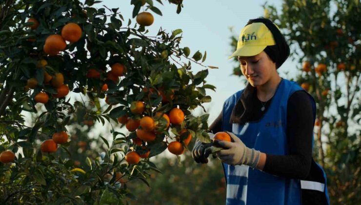 Yaş meyve ve sebze ihracat rekortmeni Altun’dan halka arz başvurusu