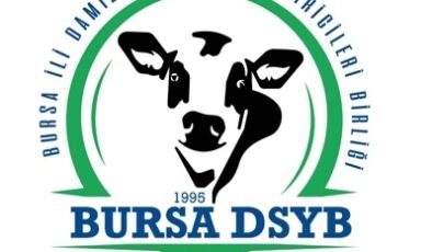 DSYB’ye KORKUSUZ Aday