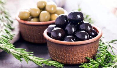 GEMLİK ZEYTİNİNDE VERİM VE KALİTE ZİRVESİ GERÇEKLEŞTİ