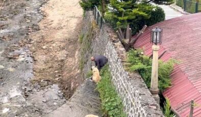 Derede mahsur kalan Kangal köpeklerini sahibi suya atlayıp kurtardı